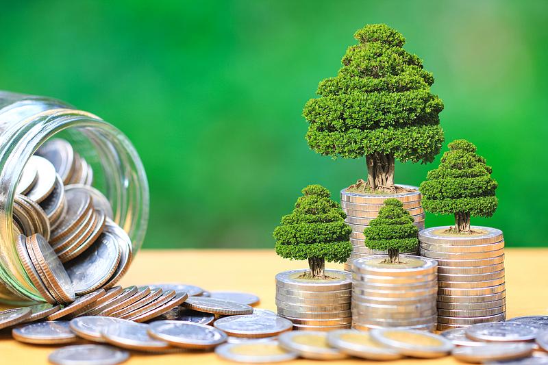 Achieving Financial Freedom: A Comprehensive Guide